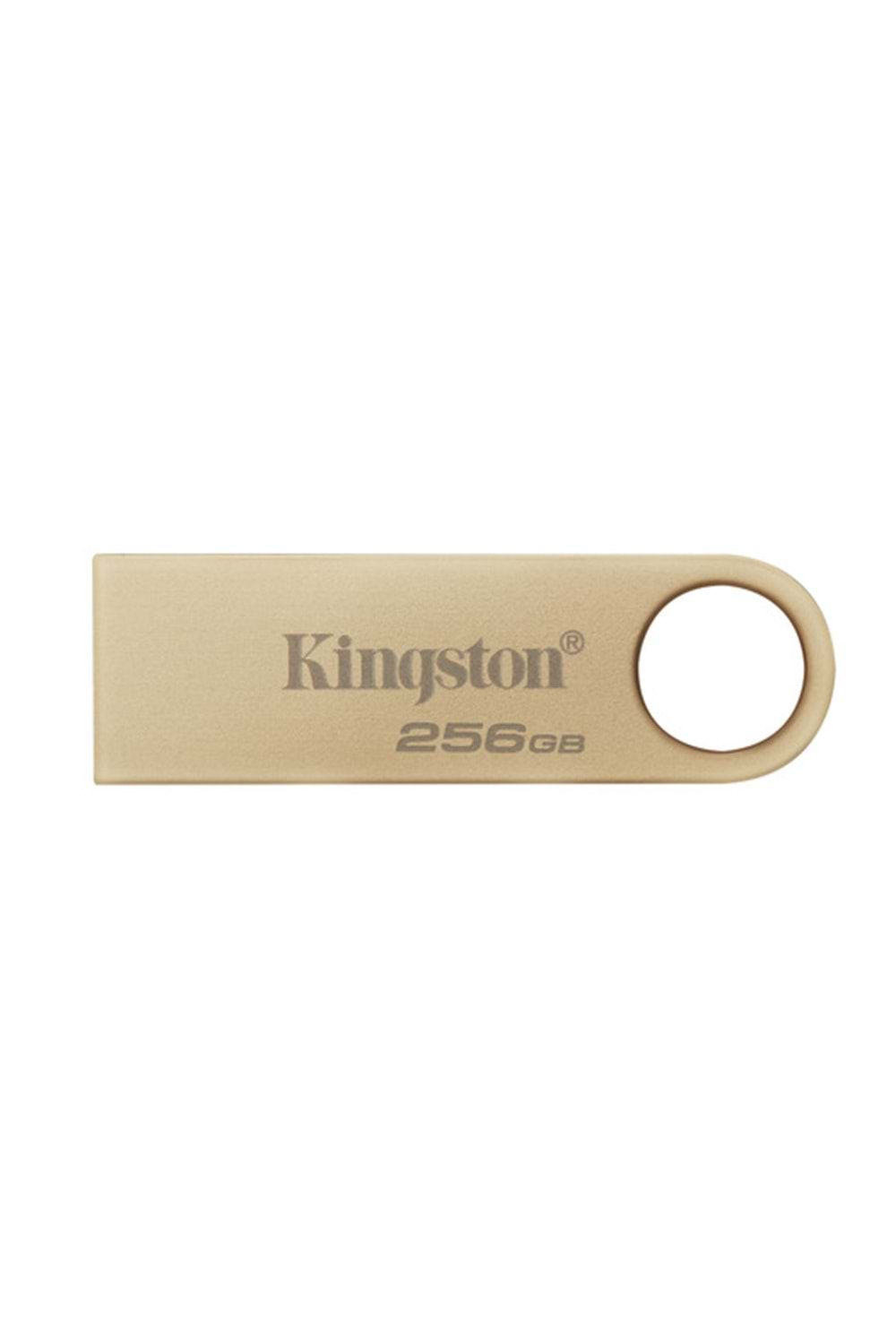 Kingston 256GB 220MB/s Metal USB 3.2 Gen 1 DataTraveler SE9 G3