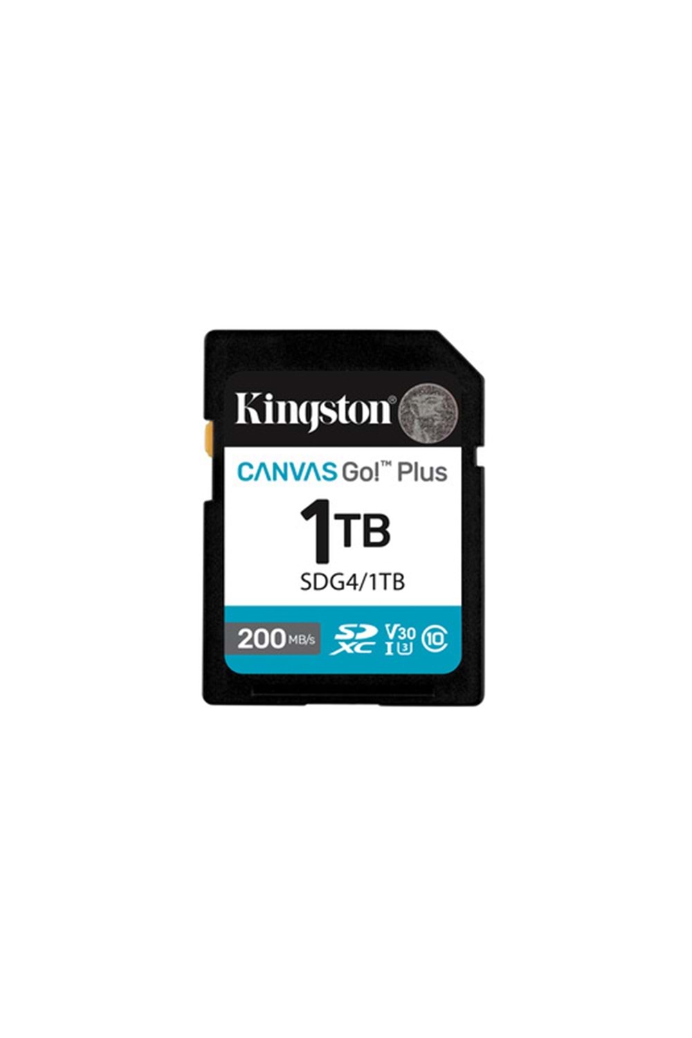 Kingston 1TB Canvas Go Plus SD Gen4