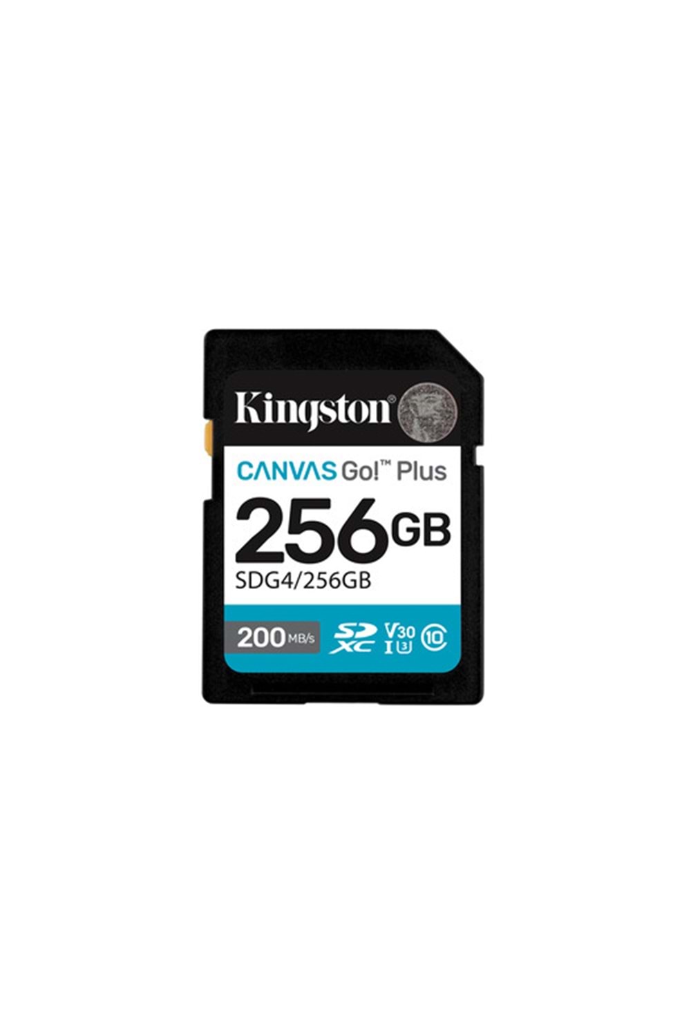 Kingston 256GB Canvas Go Plus SD Gen4